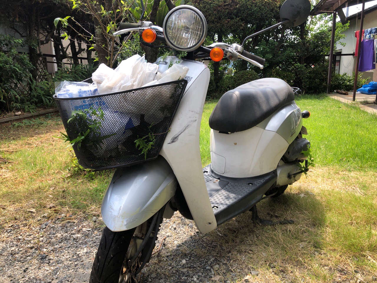 バイク処分　熊本市北区清水亀井町O様（トゥデイ　AF61型　原付50ccスクーター）