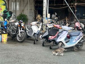 地元熊本に根ざしたバイク買取店です！みのまるバイク