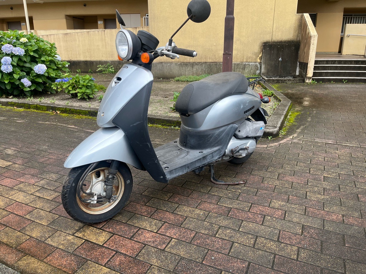 熊本市北区弓削4丁目F様　HONDA　トゥデイ　AF67型