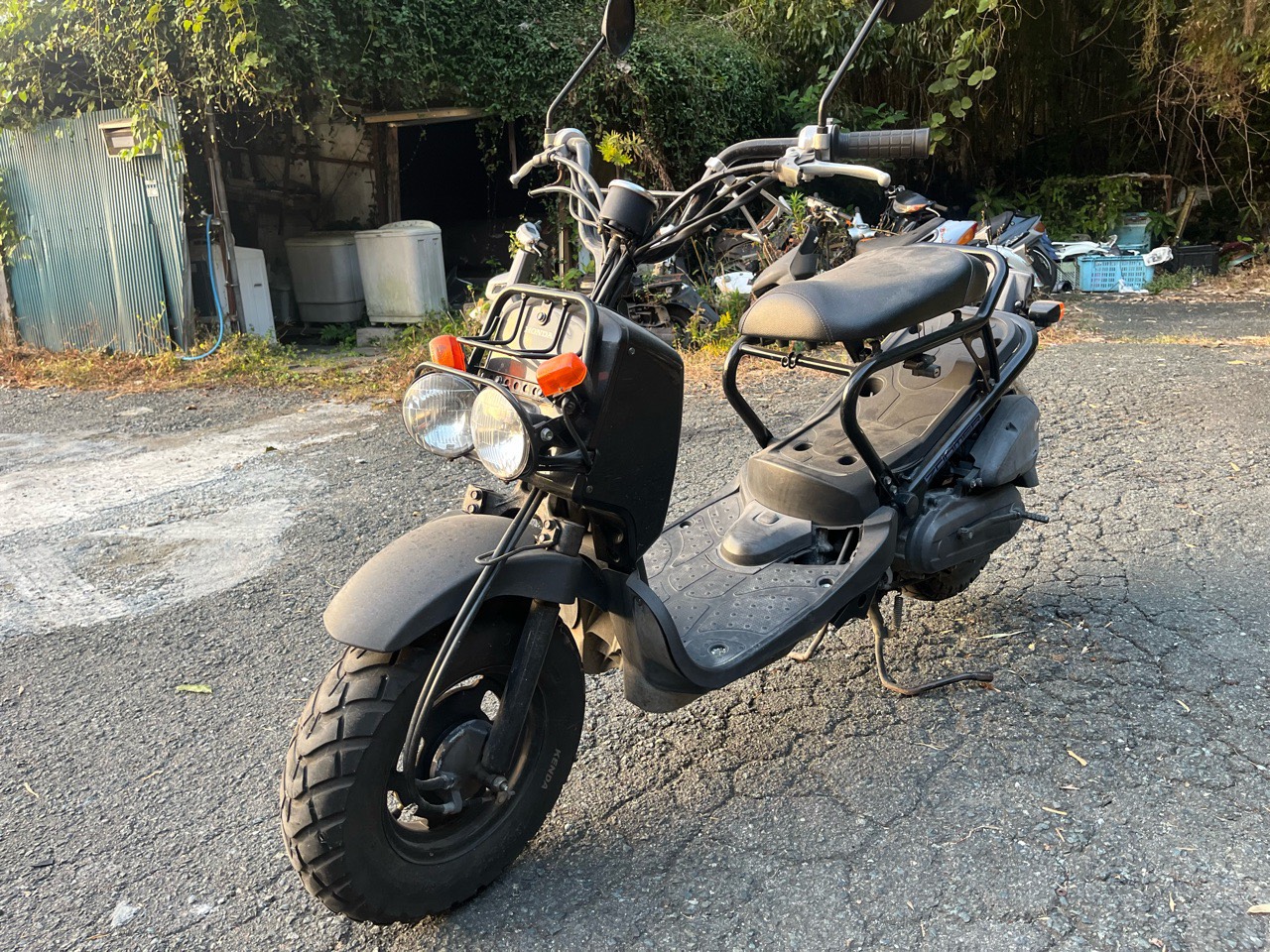 玉名郡和水町太田黒U様　HONDA　ズーマー50　AF58型　※事故車　※秋の買取祭対象車