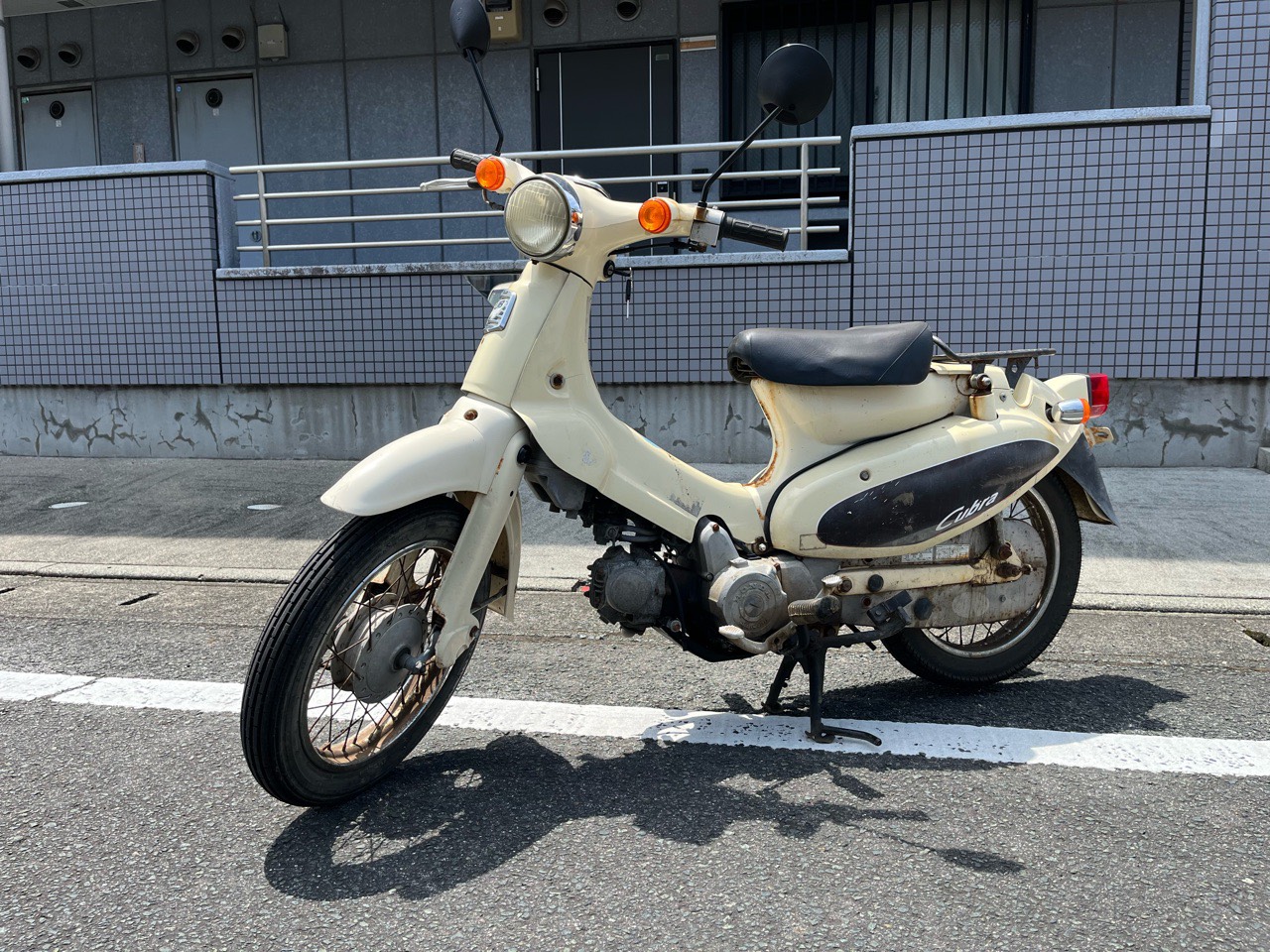 S__203603974_0